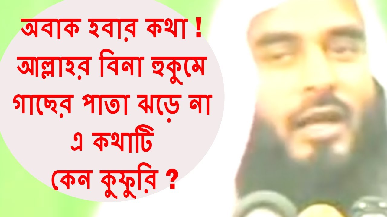 অবাক হবার কথা ! আল্লাহর বিনা হুকুমে গাছের পাতা ঝড়ে না এ কথাটি কেন কুফুরি ! Sheikh Motiur Rahman