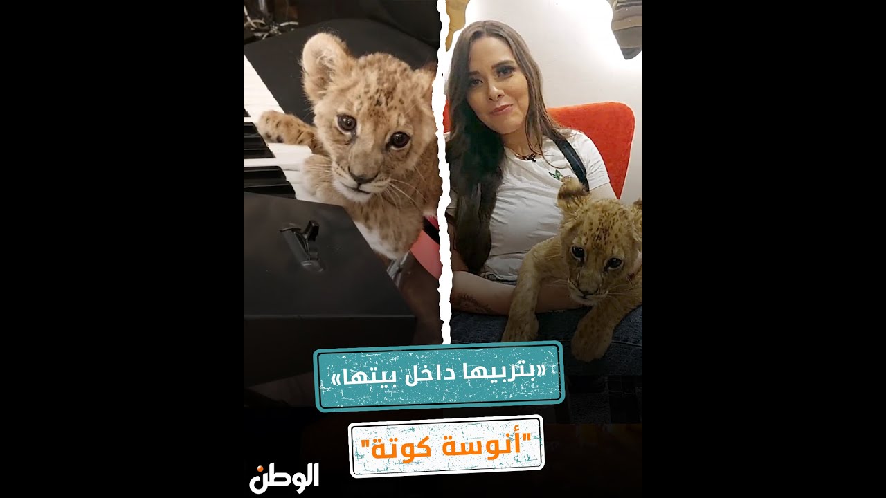 «بتربيها داخل بيتها».. «أنوسة كوتة» أشهر مروضة أسود ونمور في مصر