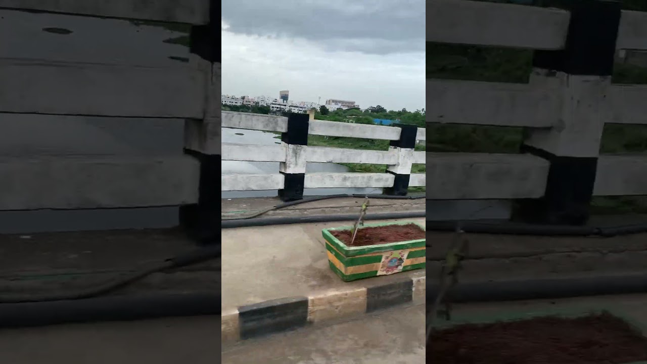Adyar river bridge at Manapakkam #chennai #river #bridge #shorts