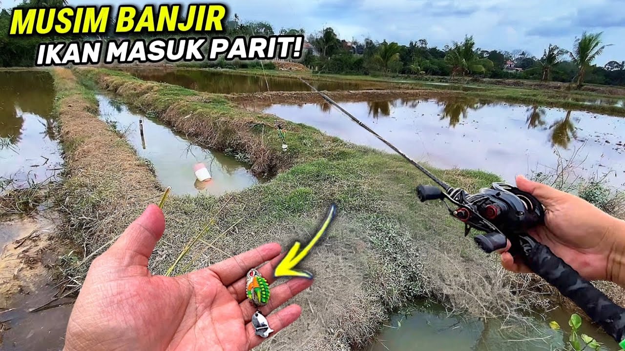 MISI MEMBURU Haruan Selepas Banjir Di Bulan Puasa! Casting Haruan