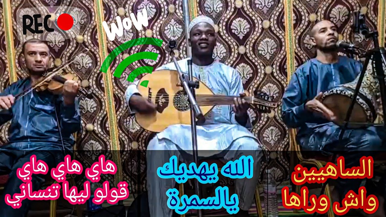 سهرة المبدع عمادالدين قناوة في عين البيضاء (وهران) تقاسيم عود  ونسمات الكمان🎻🌴👏