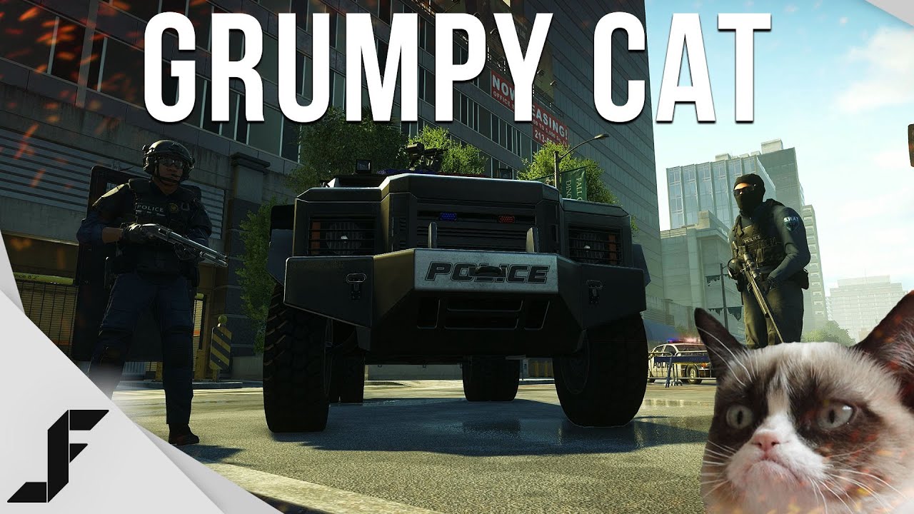 Grumpy Cat! - Battlefield Hardline