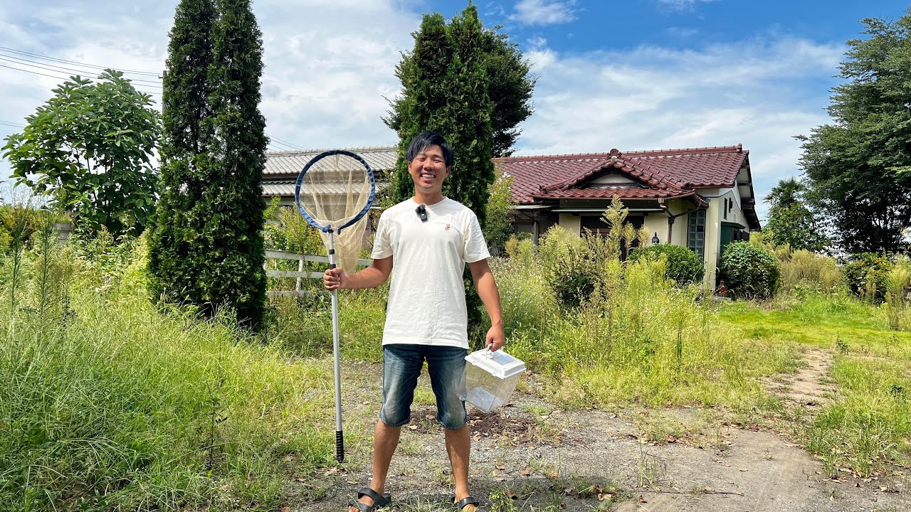 １３００㎡ある自宅の庭で昆虫採集したら楽し過ぎた