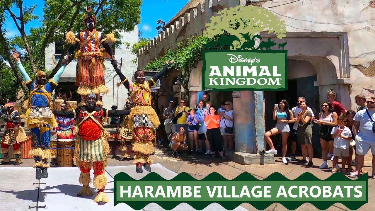 Harambe Village Acrobats in Disney's Animal Kingdom at Walt Disney World (Full Show) July 30, 2022.