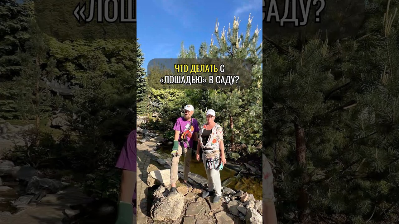 Что делать с &laquo;лошадью&raquo; в саду?