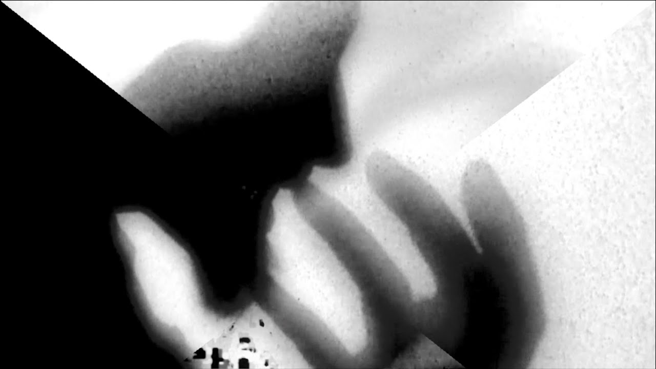 MORBID COAL - Forced Incarnation (OFFICIAL LYRIC VIDEO)