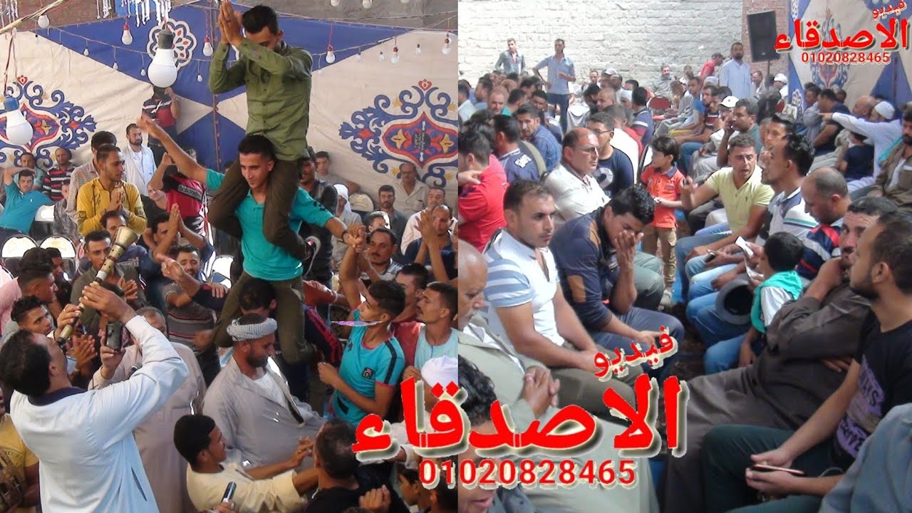 الريس محمد العشه ملياريه عائلات طلعت توكل بالسلسول تحياتي شركه فيديو الاصدقاء01020828465