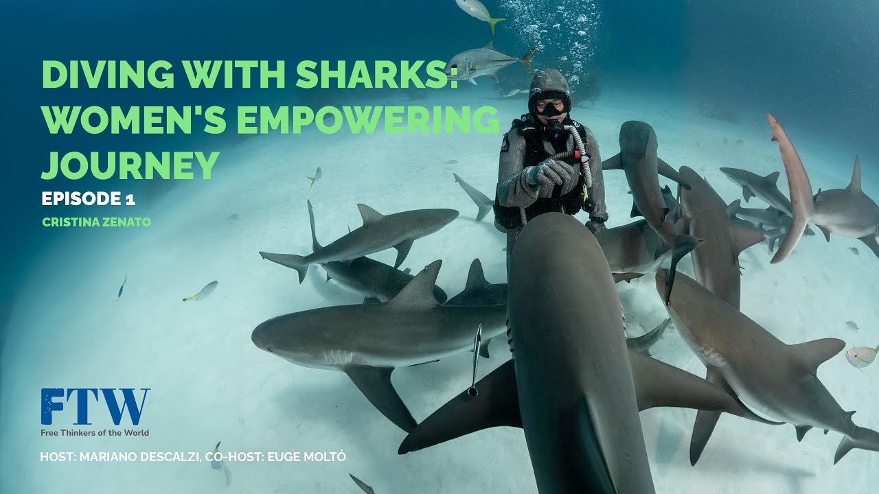 I Love Sharks #sharks  | Episode 1