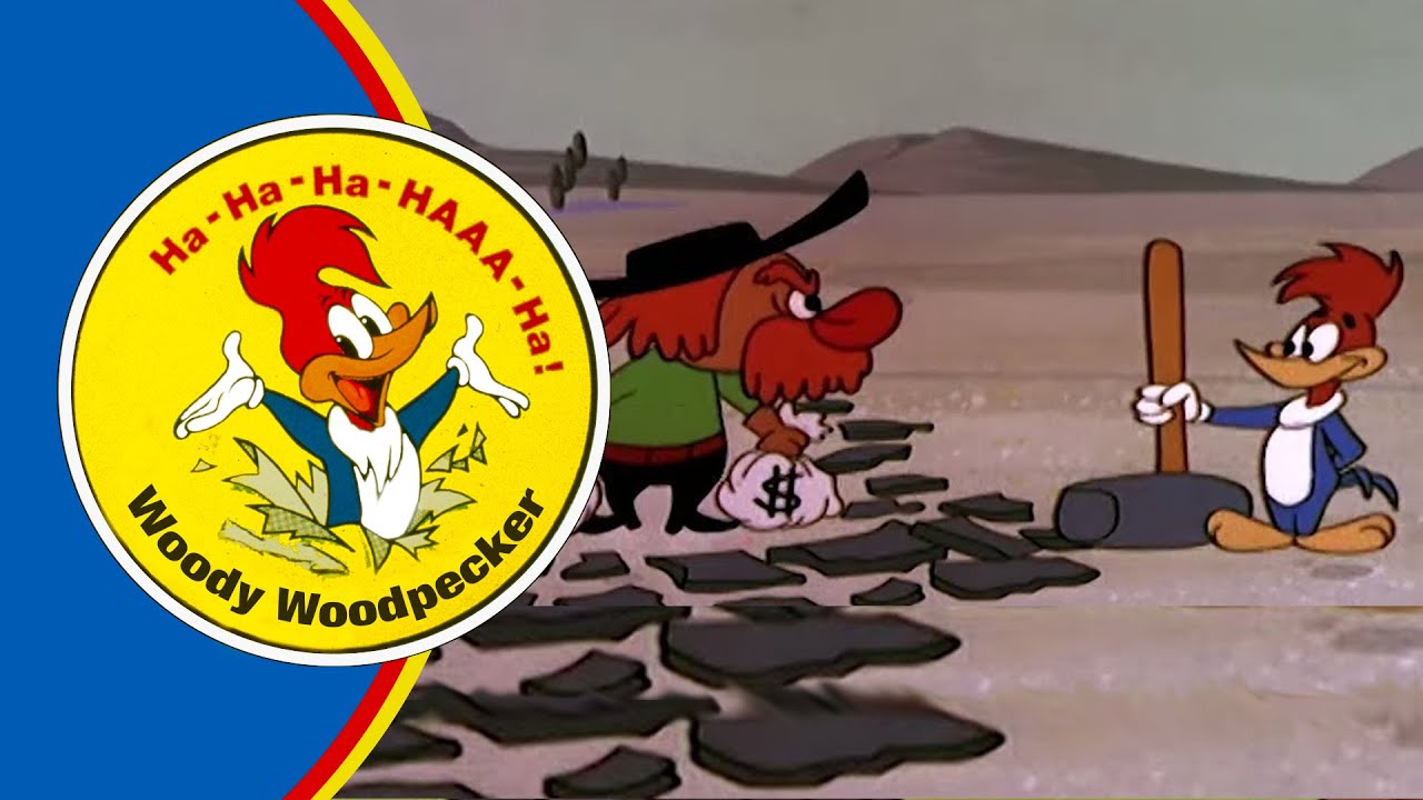 Woody Woodpecker | Packin Woodpecker | Full Episodes