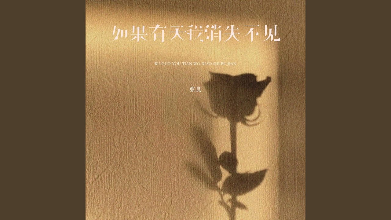 如果有天我消失不见