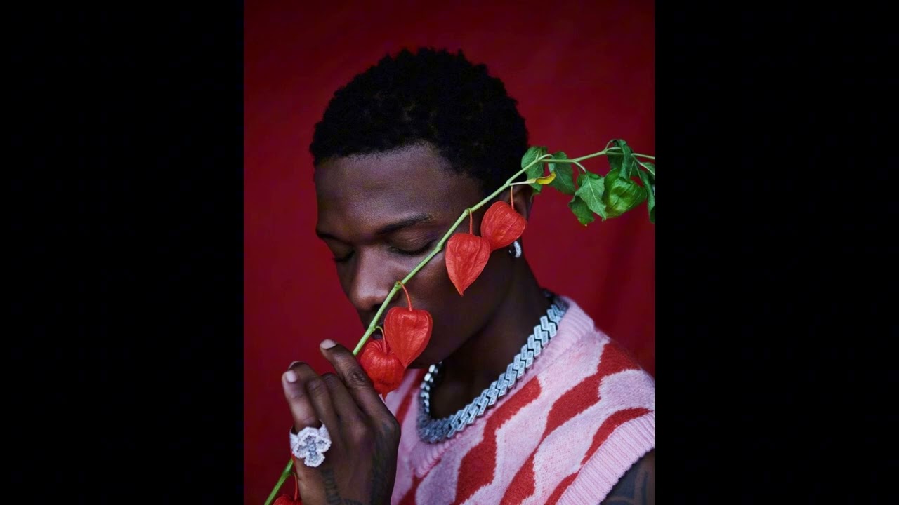 [FREE] Wizkid x Tyla x Asake x Amapiano Type Beat - Sweet poison