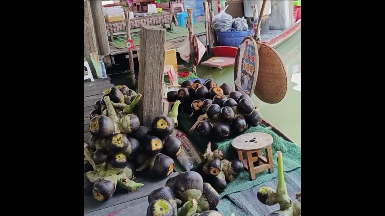 Pattaya🇹🇭 นักท่องเที่ยวคึกคัก หลั่งไหลมาเที่ยวชม ตลาดน้ำ4ภาค เมืองพัทยา จังหวัดชลยุรี 