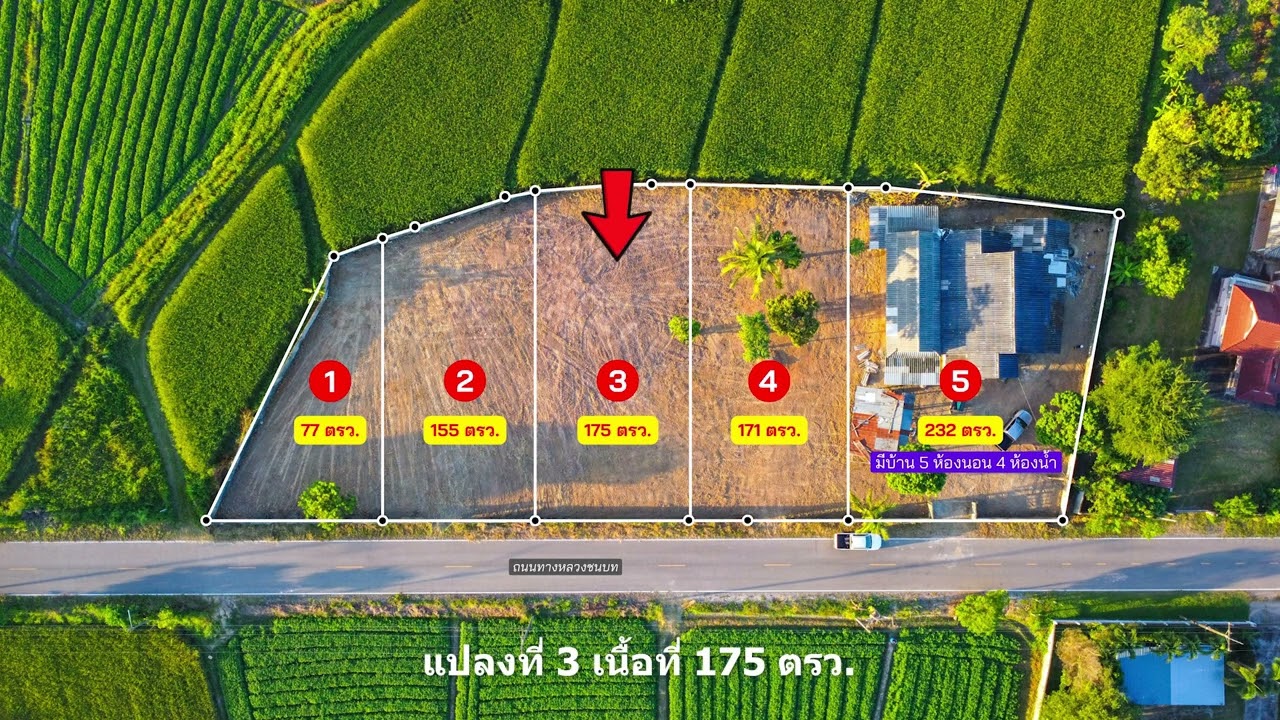 ขายที่ดินบรรยากาศดีมากๆวิวนาวิวภูเขาโล่งๆ มีทั้งหมด 5 แปลง ที่บ้านดอนไชย ต.เชียงแรง อ.ภูซาง จ.พะเยา