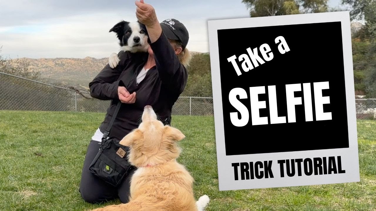 Take a Selfie: Dog Trick Tutorial - DMWYD
