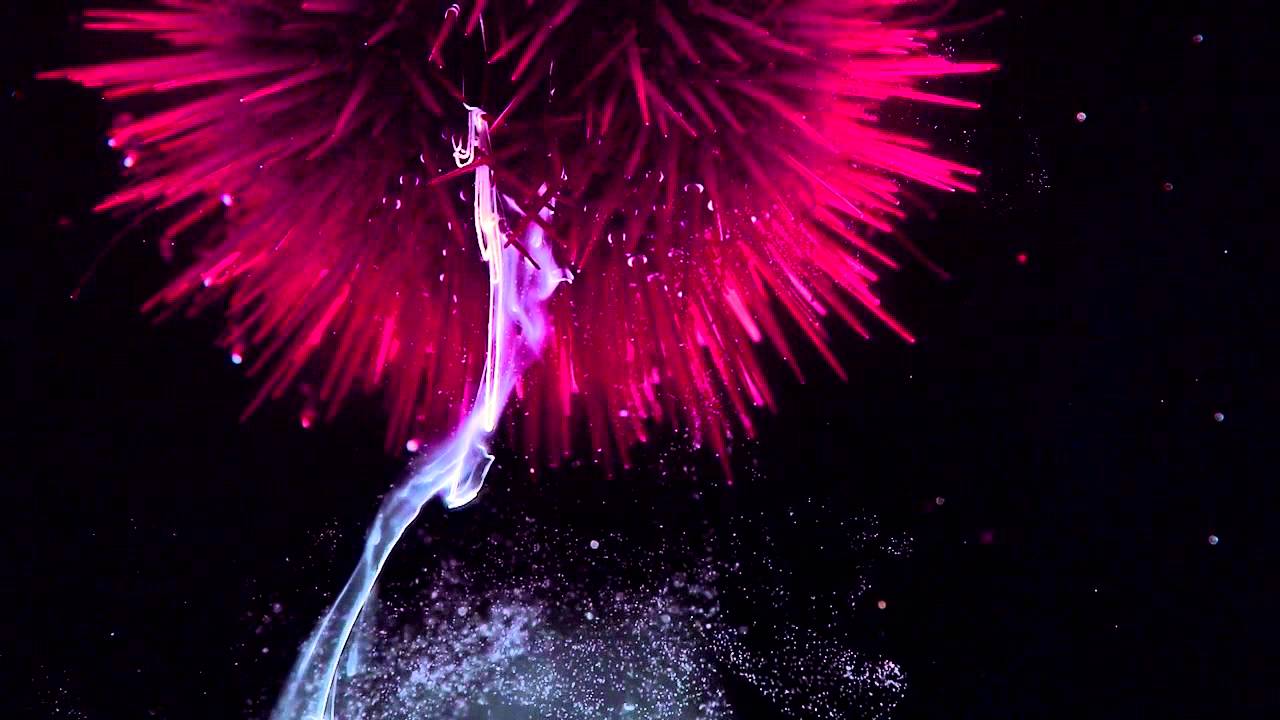 Plankton Chronicles - Sea Urchin