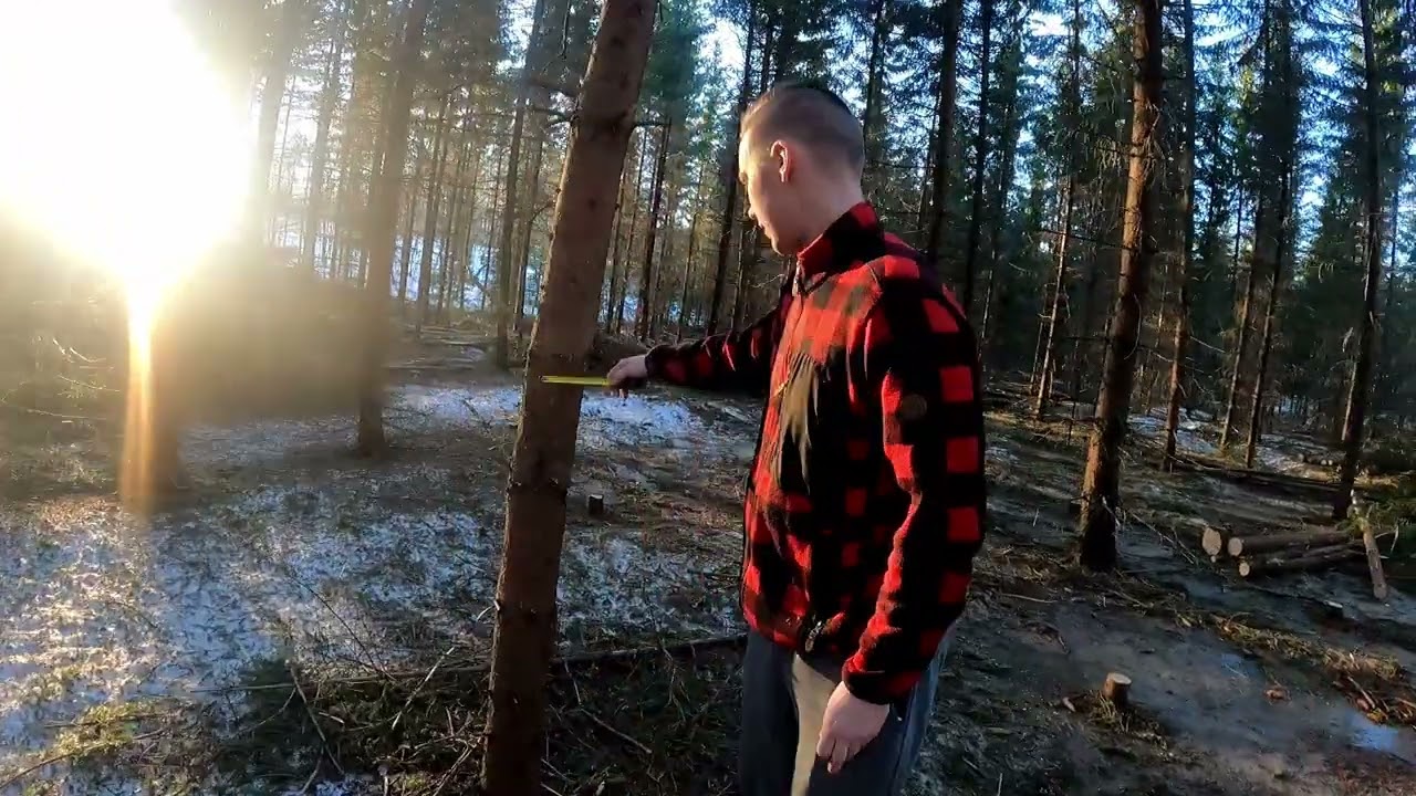 Harvennuksen korjuutarkastus, Osa 1