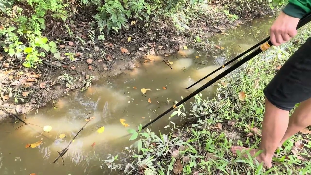 Săn  bắt  miền Tây 