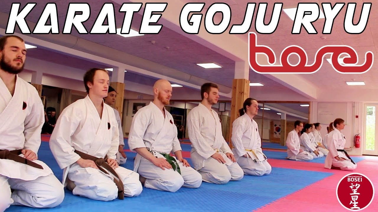 Karate Goju Ryu (promotion  video)