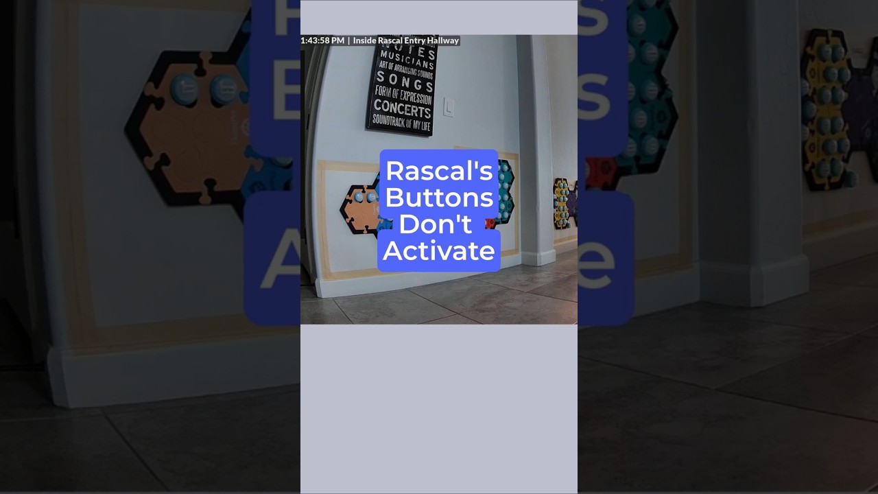 Rascal's Buttons Don't Activate! Part 1 #talkingdog   #fluentpet  #fluentpetguide  #fluentpetconnect