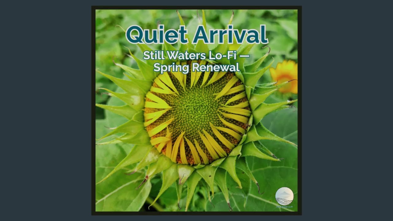 Quiet Arrival — Still Waters Lo-Fi — Spring Renewal