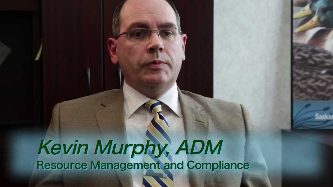 What is the difference between an environmental inspection and an environmental audit? (2:01)