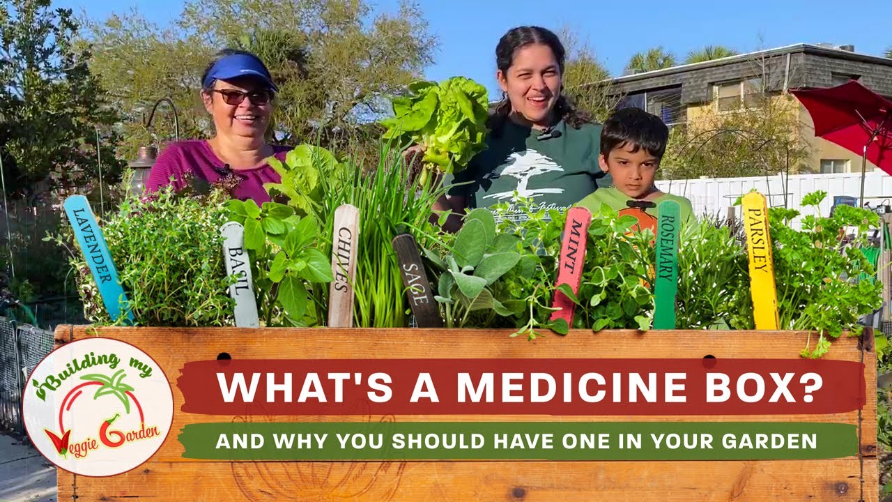 Let's build a medicine box in the garden!