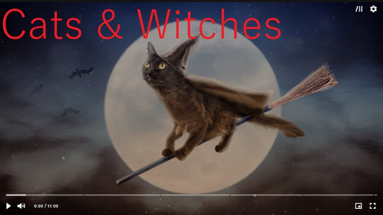 The Enigmatic Connection Between Cats and Witchcraft