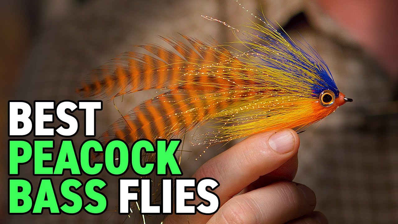 The TOP Peacock Bass Flies + Amazon Jungle Fly Fishing Kit!