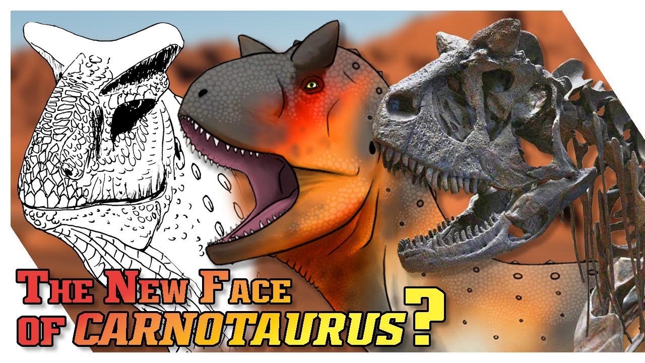 The New Face of Carnotaurus?