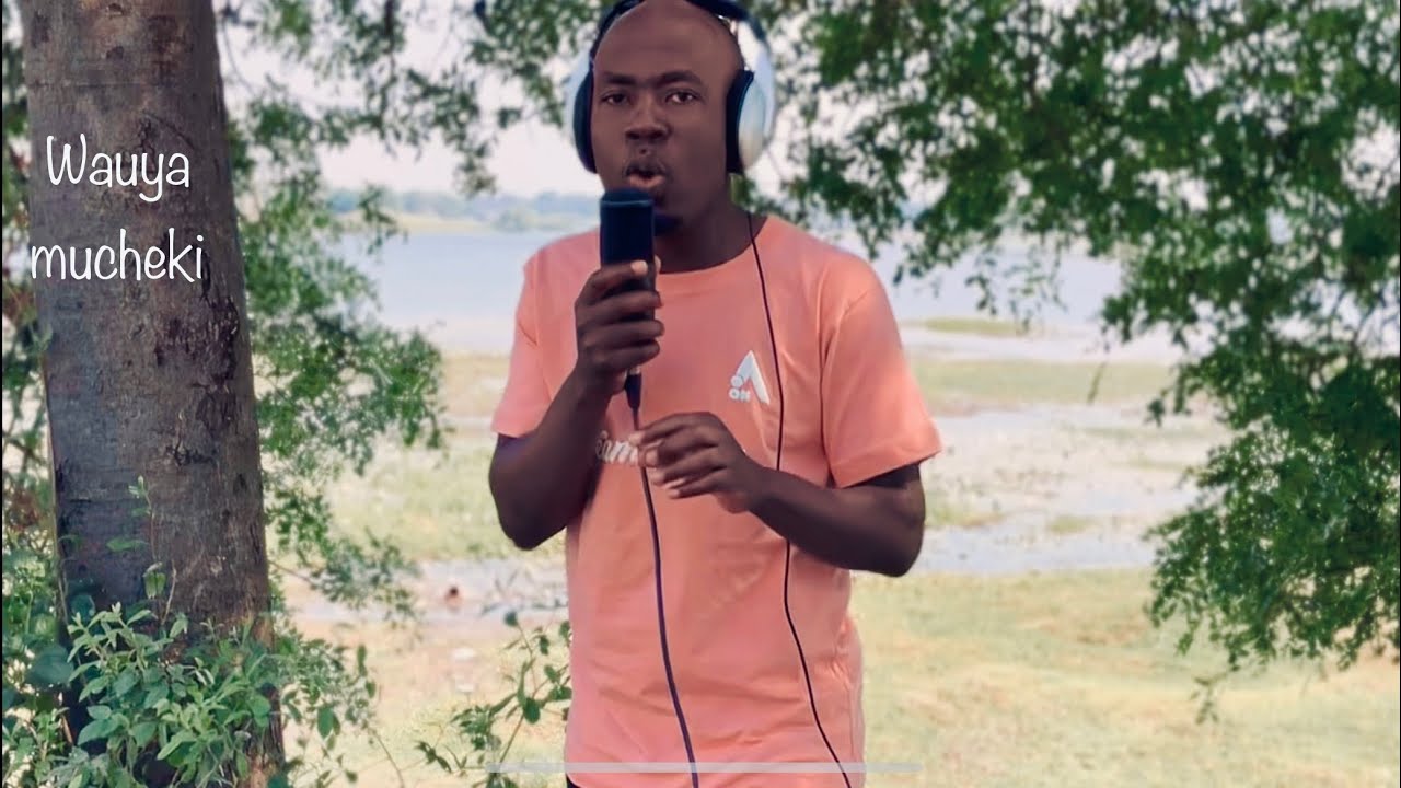 Tinashey Mutandwa - Wauya Mucheki