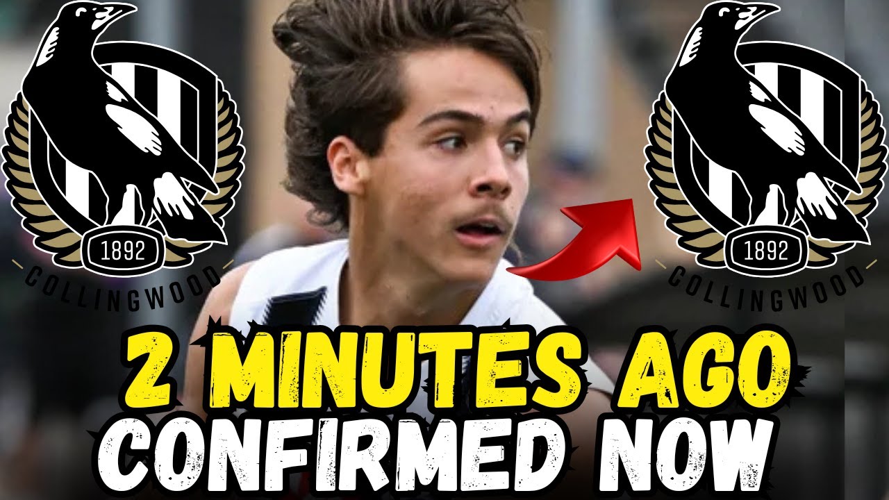 Will Hayes surprised everyone now! Nobody expected it! News from Collingwood!