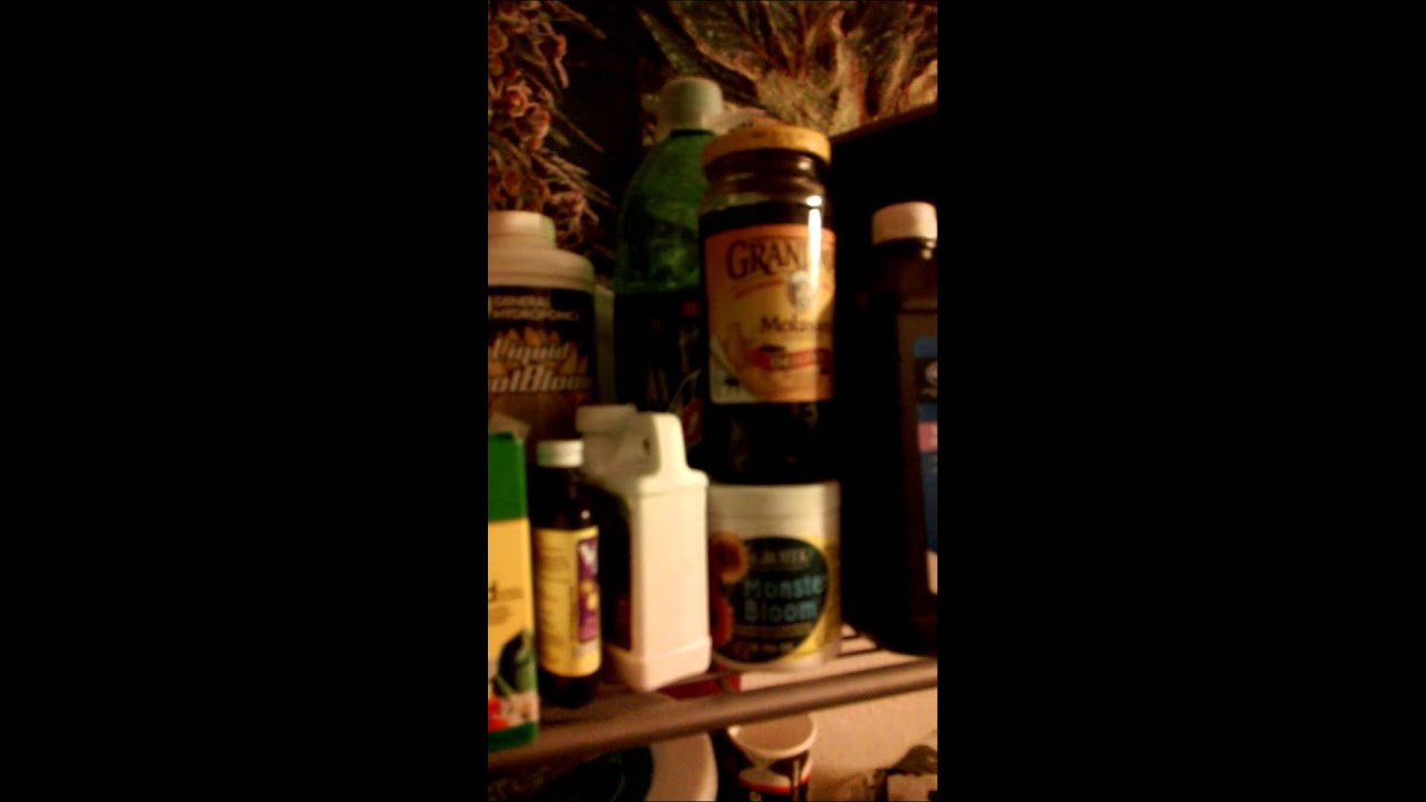 Poor man's grow update 11/13/14
