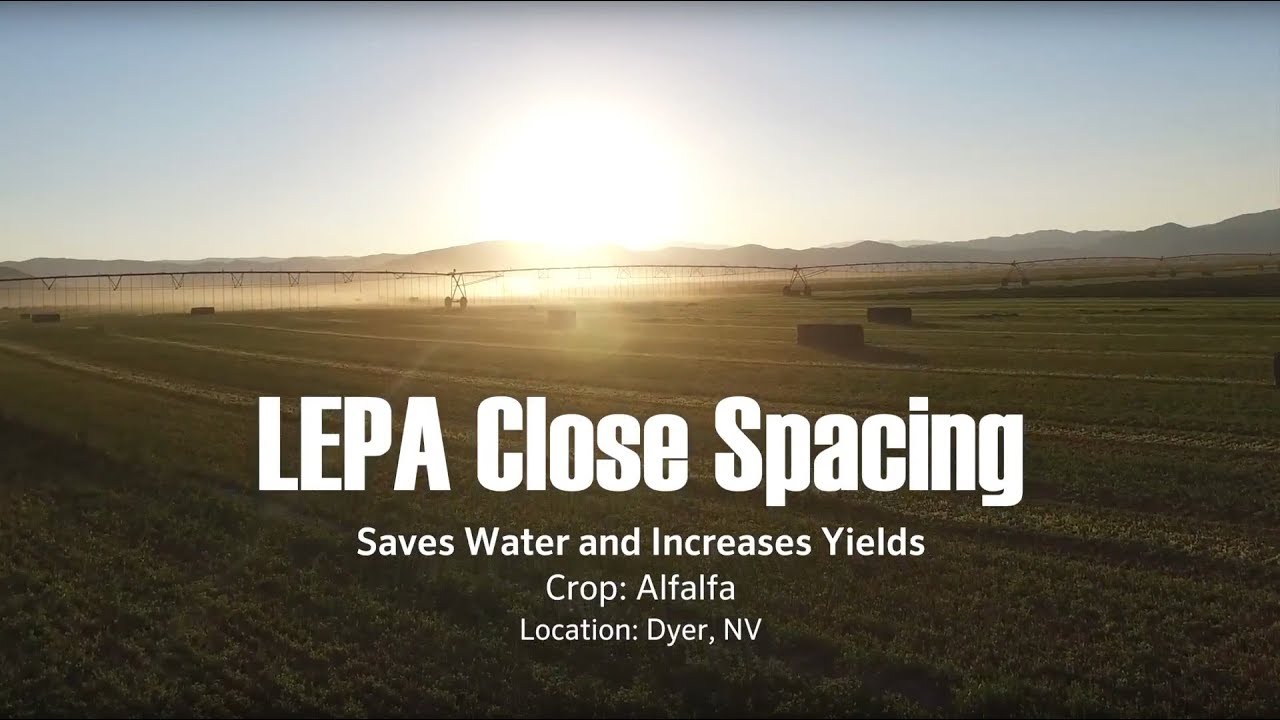 Save Water and Increase Alfalfa Yields with LEPA Close Spacing ‒ Interview with John Mauer