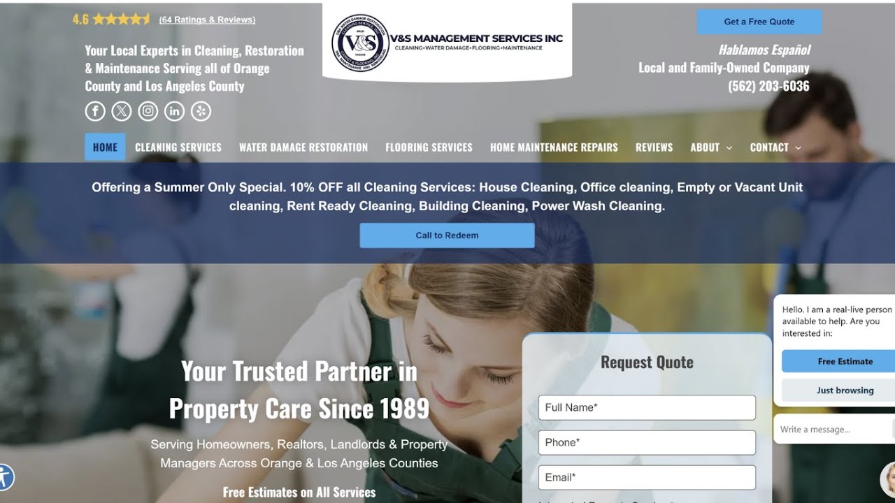 VS Cleaning Online Audit | Peterson SEO