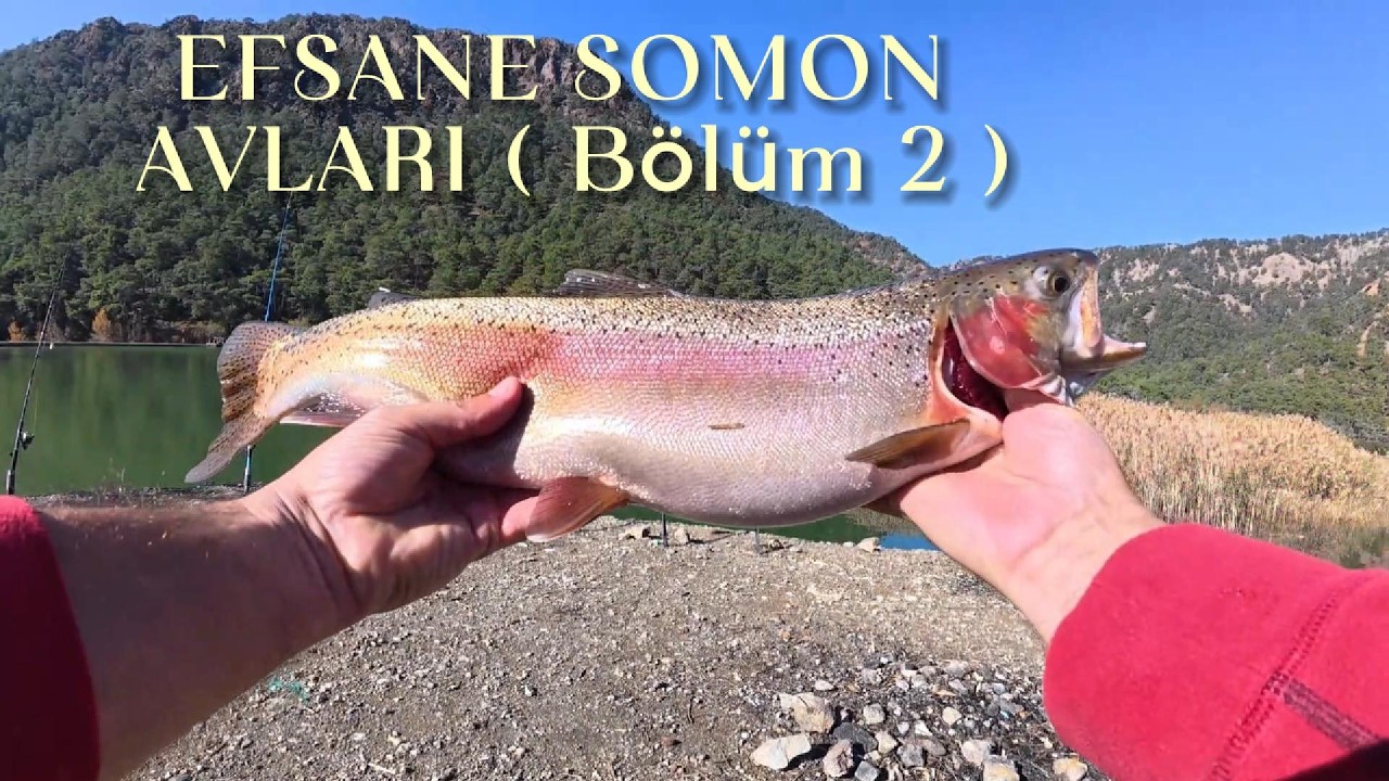 EFSANE SOMON AVLARI (B&ouml;l&uuml;m 2) !!! Alabalık/Somon Avı --- Trout/Salmon Fishing
