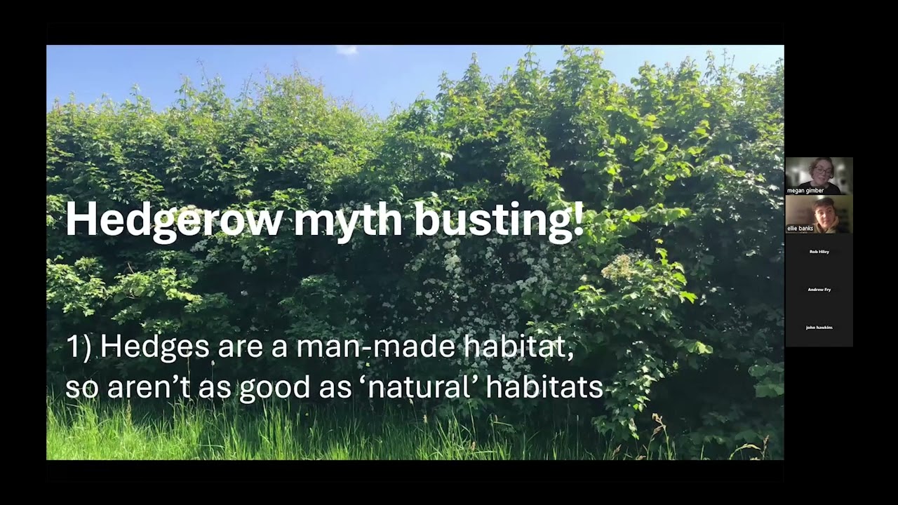 Hedgerow Myth Busting with Megan Gimber from People's Trust for Endangered Species