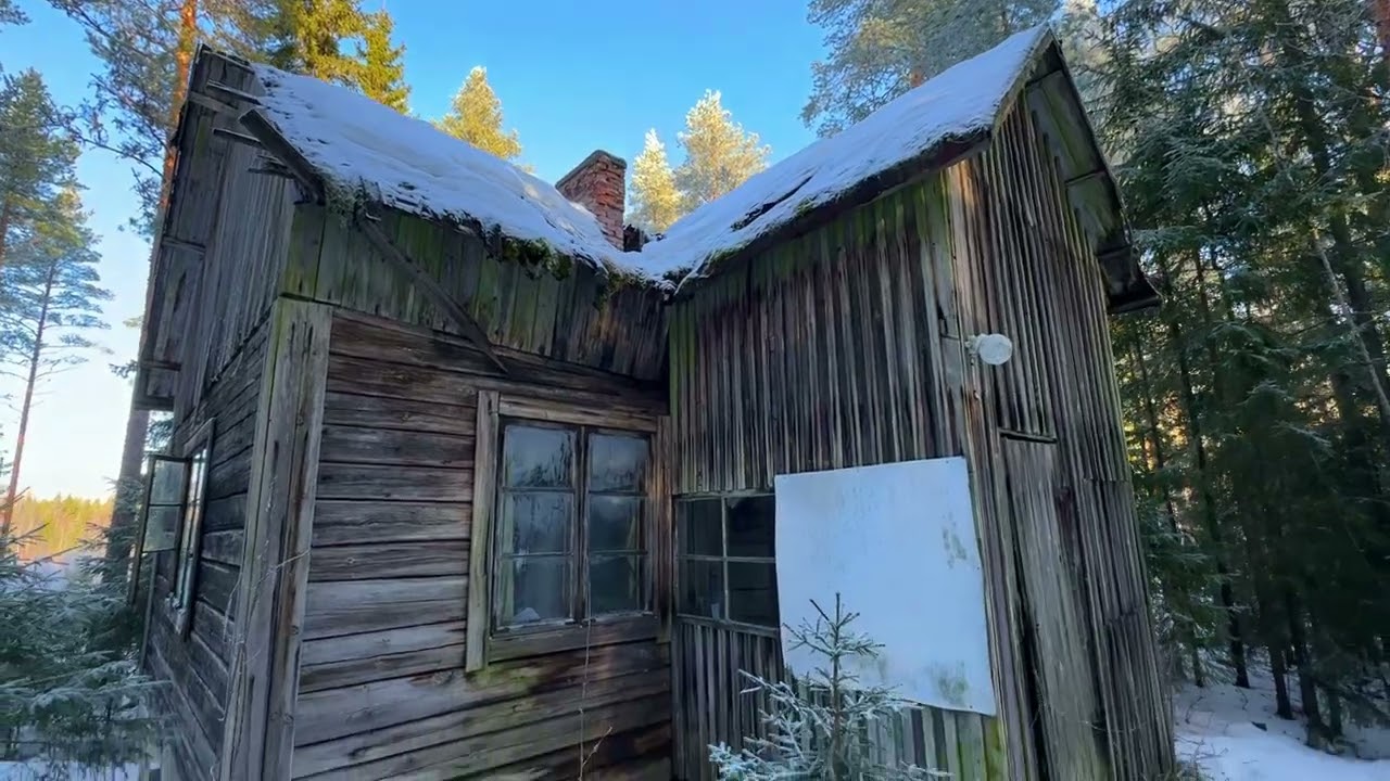 Autiotalo metsän suojassa