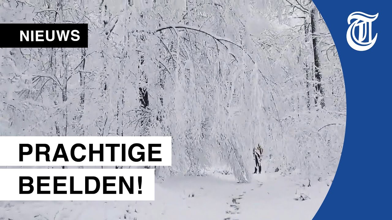 Sprookjesachtige sneeuwbeelden Zuid-Limburg