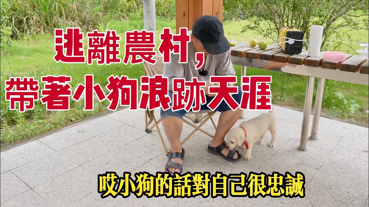帶着小狗逃離農村，回不去的農村，人性複雜，流浪更自在