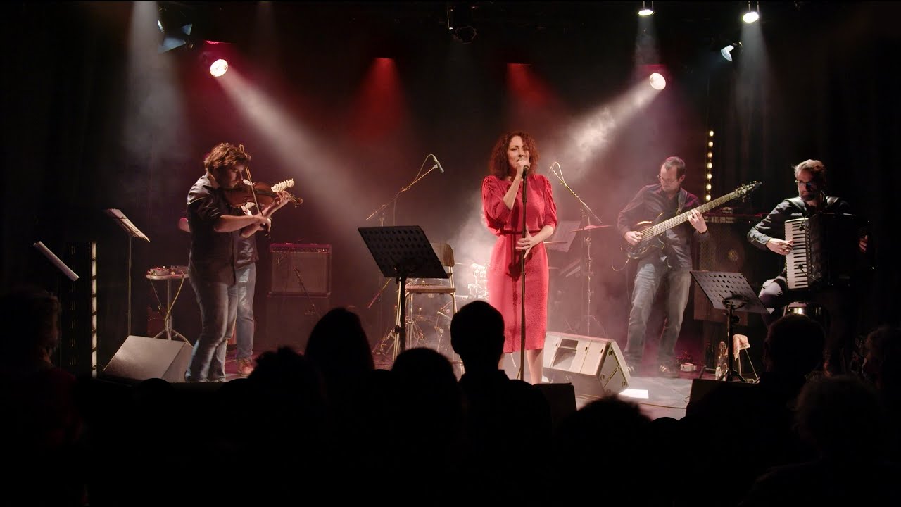 Norig & No Gypsy Orchestra - Concert/Live