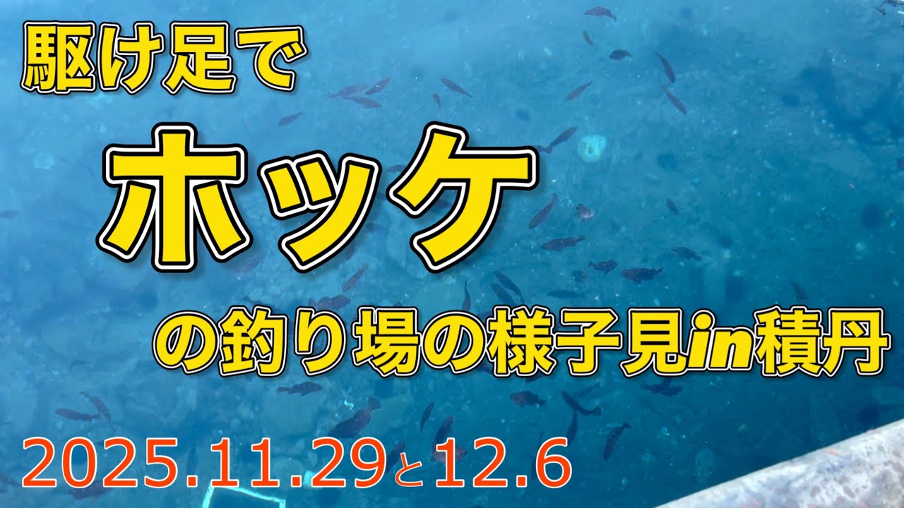 駆け足でホッケの釣り場の様子見in積丹【2025.11.29と12.6】