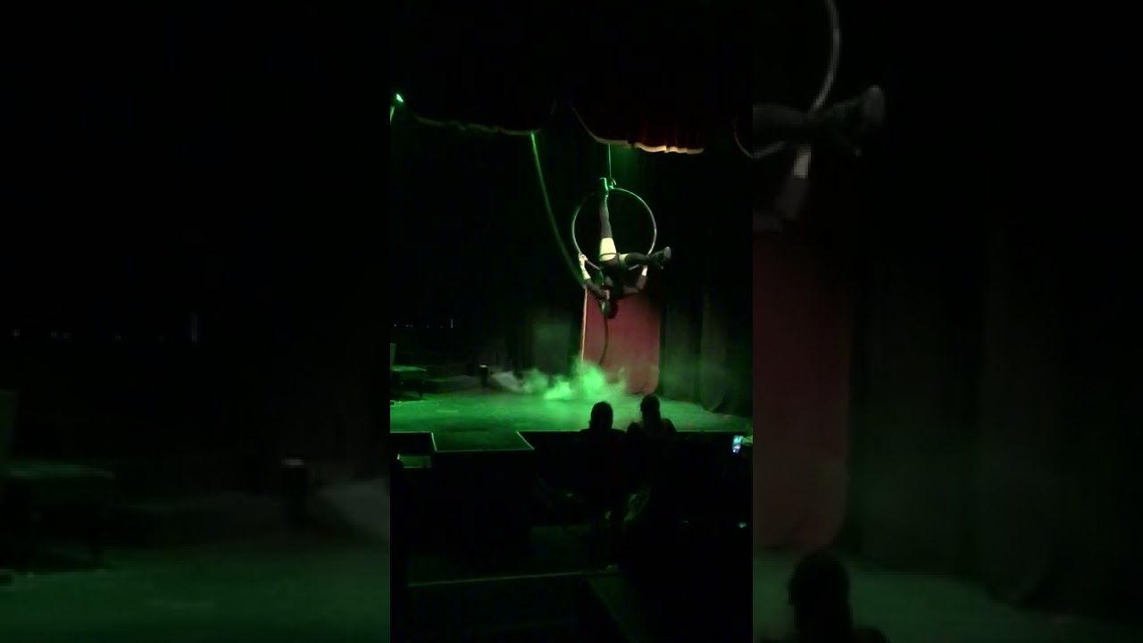 Toxic. Cerceau a&eacute;rien, aerial hoop . Alonso Gyne