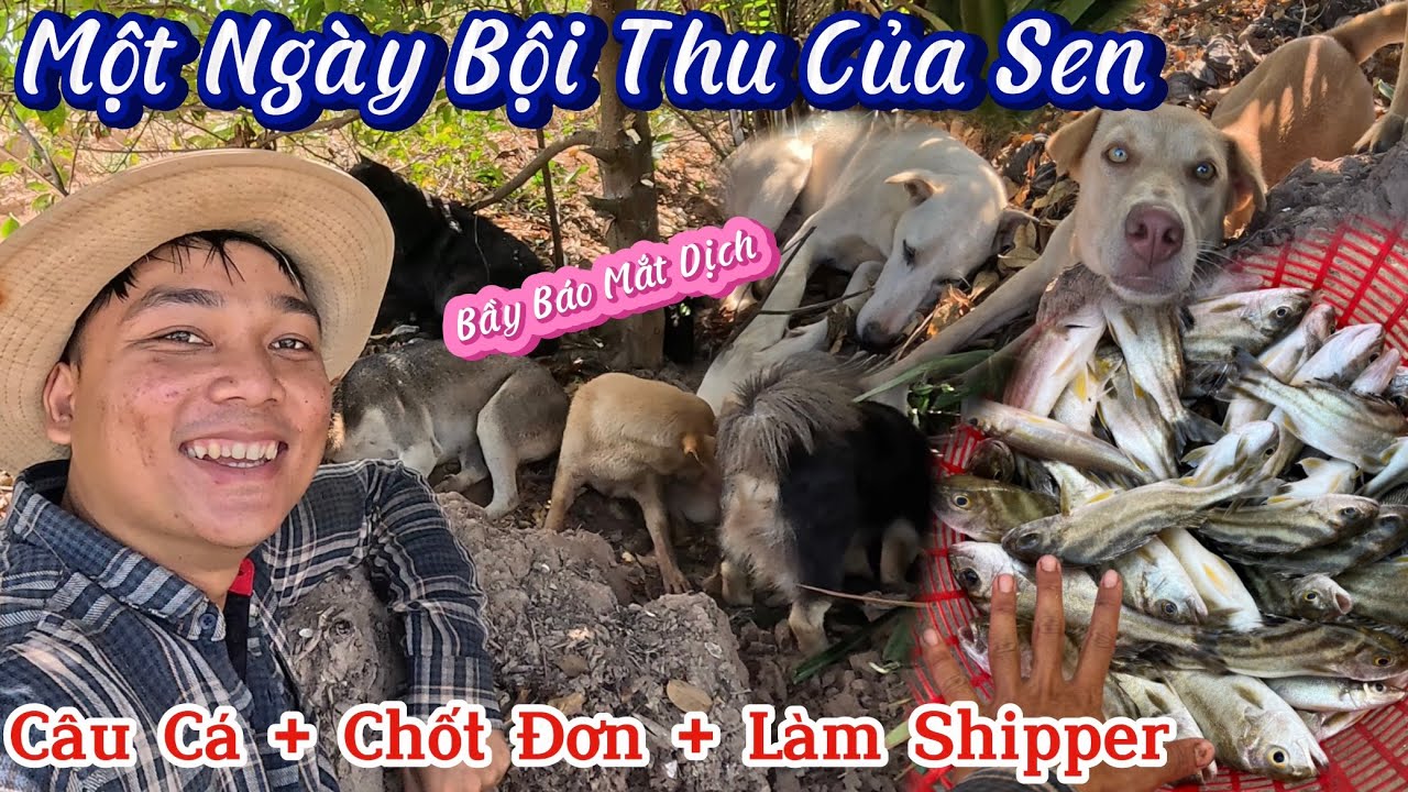 Một Ngày May Mắn Và Bội Thu - Câu Cá Đã Tay Sen Lần Đầu Thử Làm Shipper Đi Giao Cá
