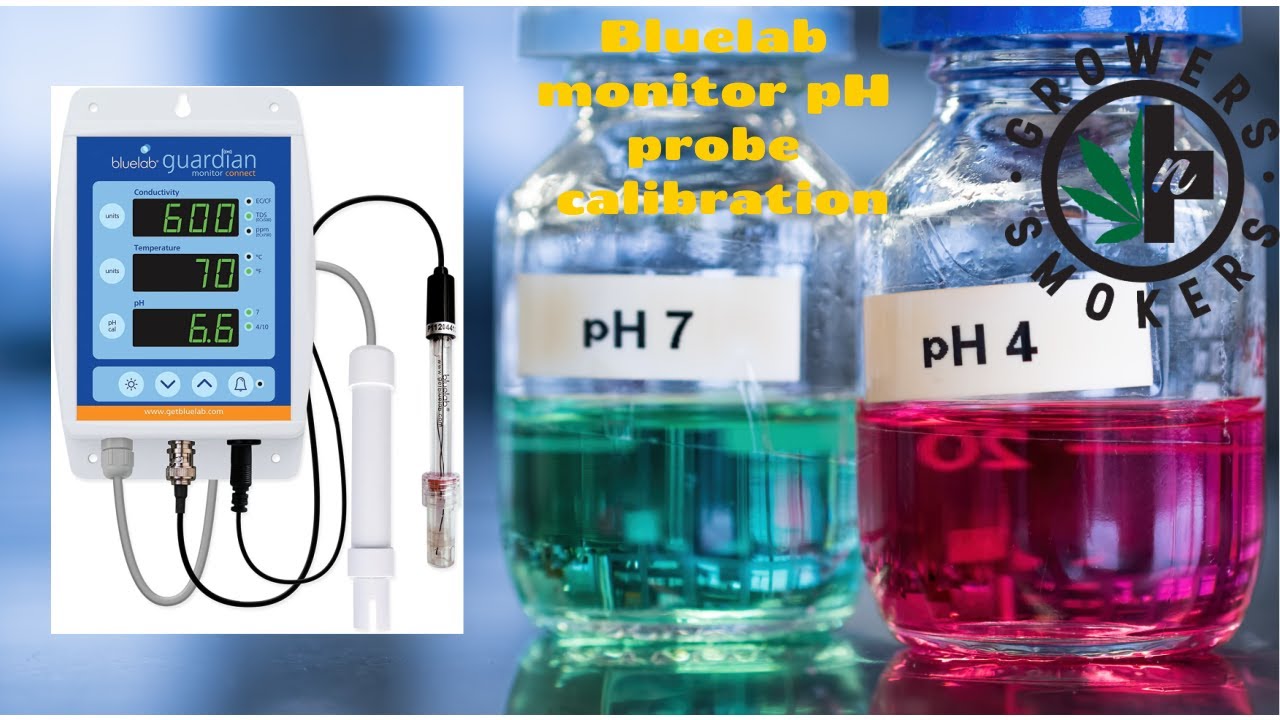 Bluelab Guardian Monitor Connect pH probe calibration and tips on storage