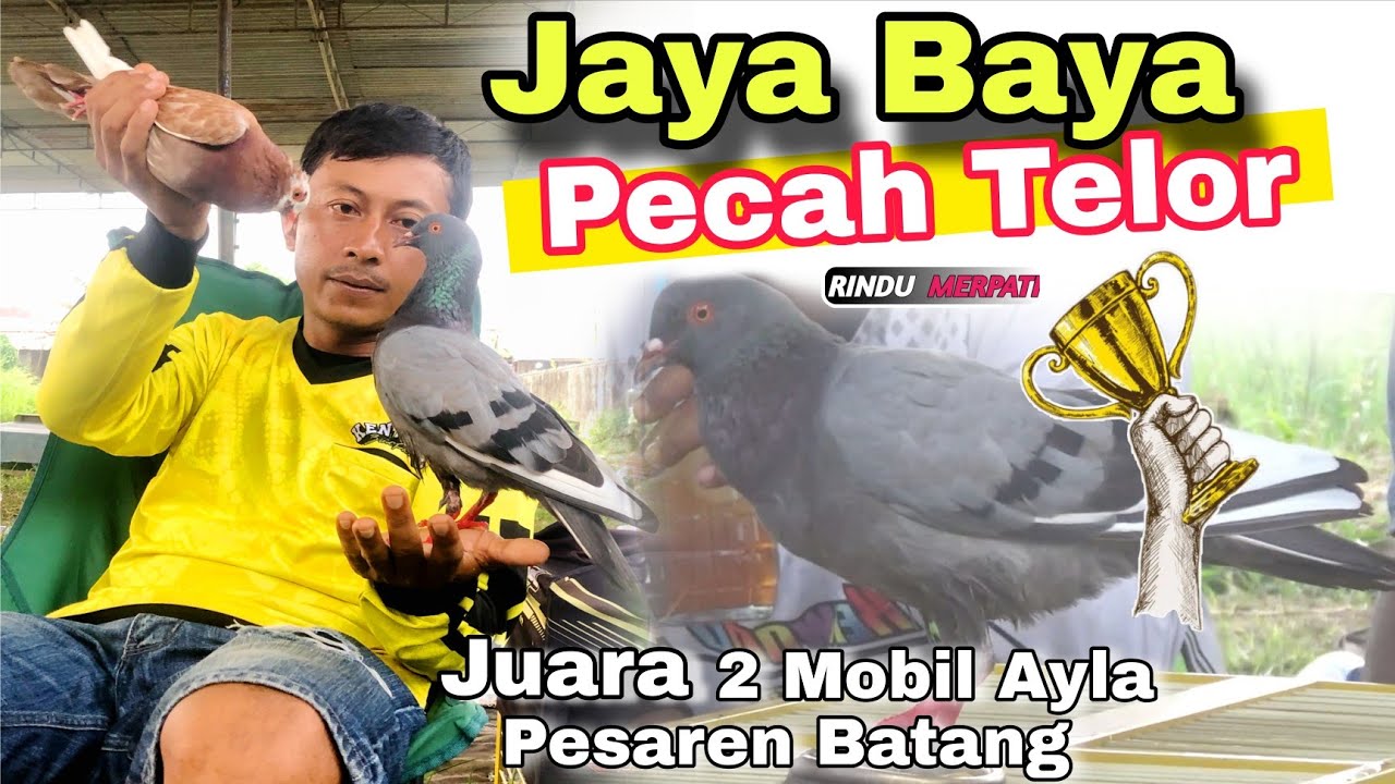 Asli Jost💥 Edisi Jaya Baya Kenwood...DAPAT Juara Mobil Alya Pesaren Batang