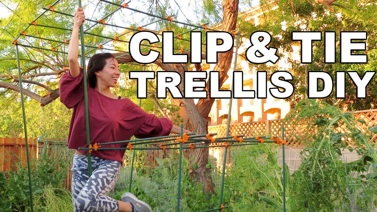 How To Build Easy Trellis For Luffas, Cucumbers, Beans