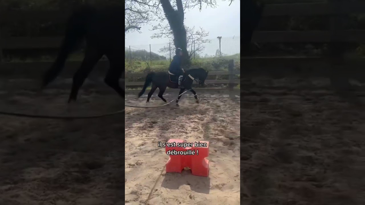 Objectif Galop 1&hellip; 4&egrave;me s&eacute;ance &agrave; cheval 💪🏻 #debutant #equitation #cheval