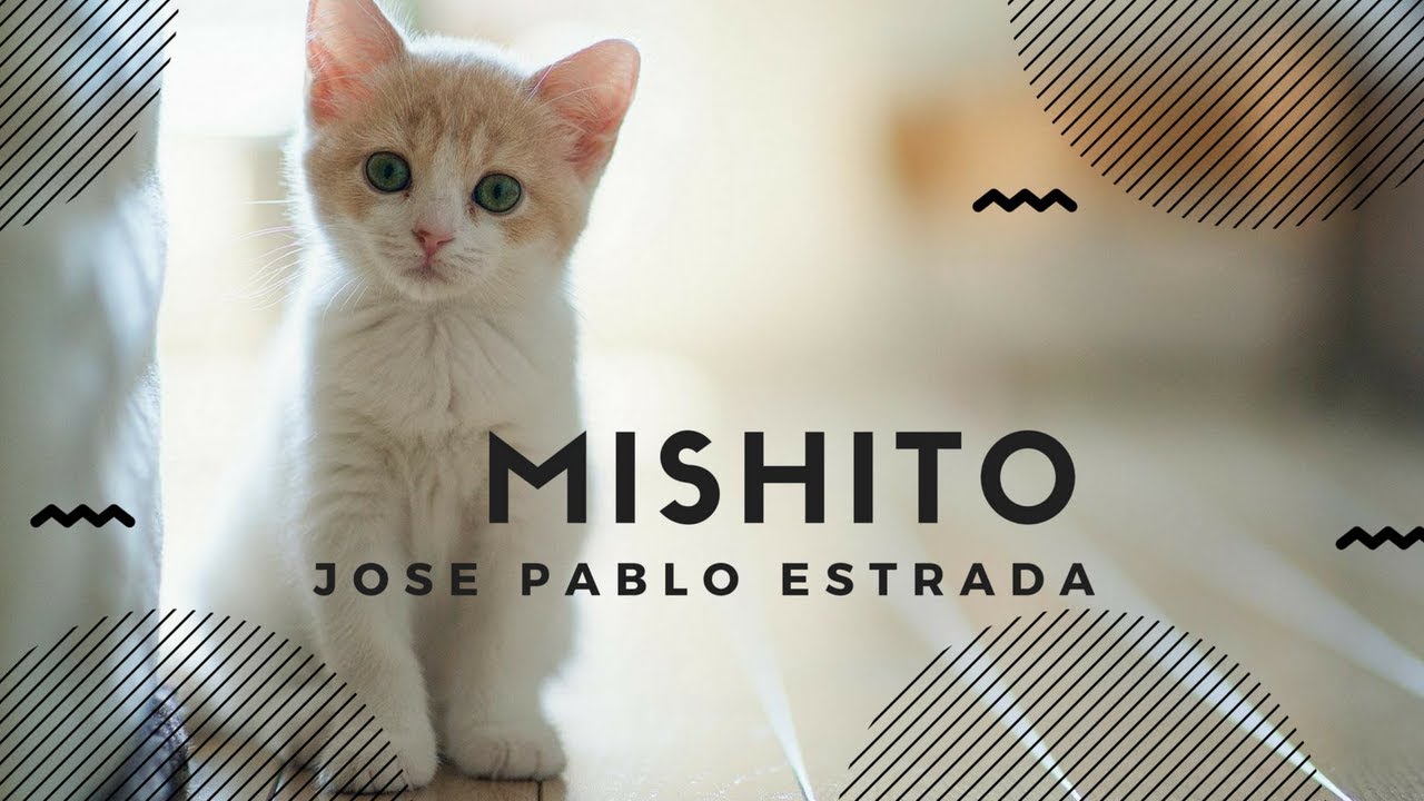 MISHITO MIO con letra