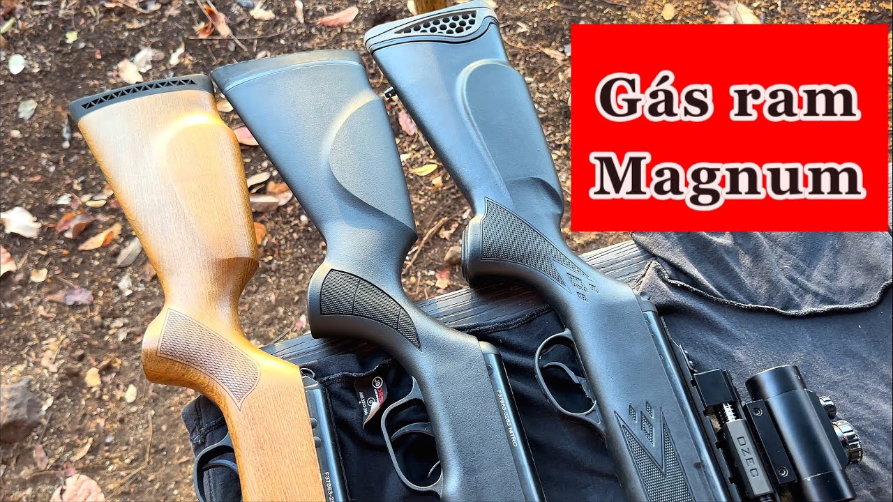 Qual melhor Carabina Magnum 6.35 mm ?