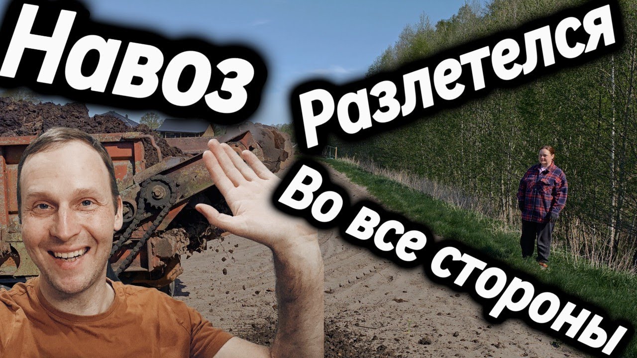 ✅✅✅Навозные хлопоты!  Раскидали во все стороны!